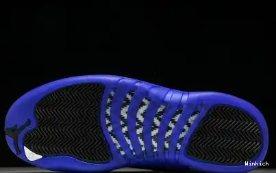 CT8013-140 12 Jordan “Blueberry” Air 0523